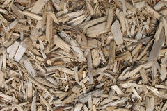 biomass boilers Prees Wood
